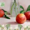 LEON系列小煙油30ml正品 蕎麥茶 錫蘭紅茶 冬瓜檸檬 臺灣現貨