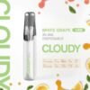 【Cloudy 鴨嘴獸一次性】陶瓷芯8ml 500mAh續航 16款爆款口味🔥